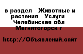  в раздел : Животные и растения » Услуги . Челябинская обл.,Магнитогорск г.